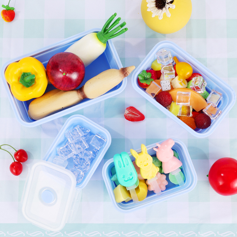 4PS Collapsible Food Storage C - đánh giá và giá Meal Prep Chia Pudding